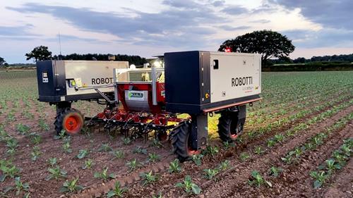 AgroIntelli declara falência, mas ainda procura comprador