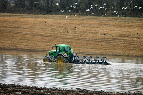 AJAP alerta para Agricultura em Portugal “no fio da navalha”