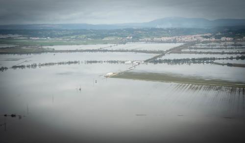 AJAP apela ao Governo e à UE por apoios urgentes após incêndios e tempestades