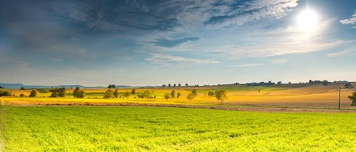 AJAP defende reforço urgente do apoio aos Jovens Agricultores 