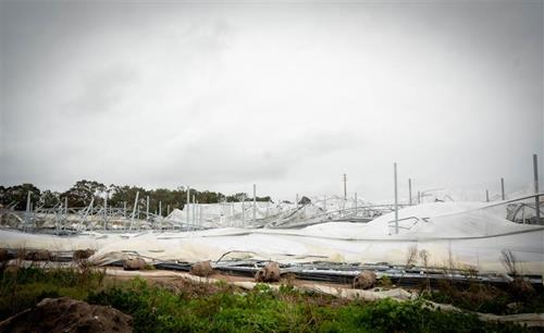 CAP estima prejuízos acima de 775 milhões de euros e pede resposta nacional