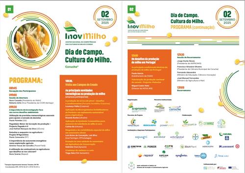 Dia de Campo do InovMilho decorre a 2 de setembro em Coruche