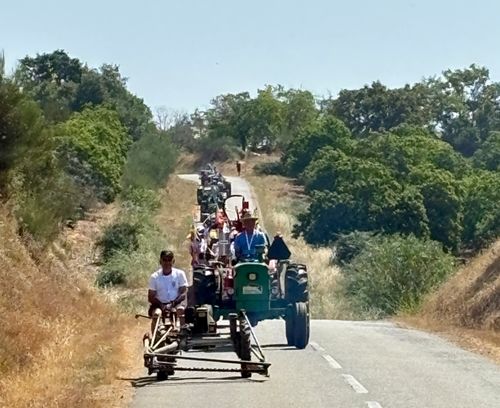 Em Salsas os tratores são herança, orgulho e festa