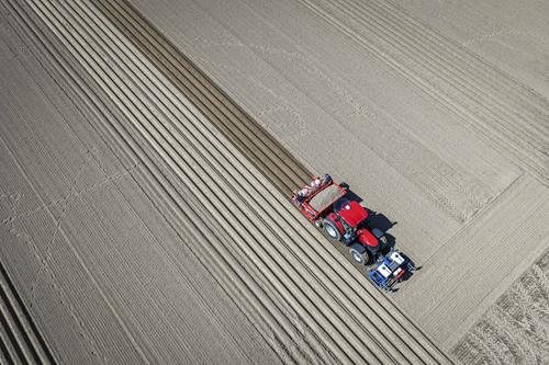 Gestorf recebe em setembro a PotatoEurope 2026 e a nova SugarBeet Expo com 300 expositores