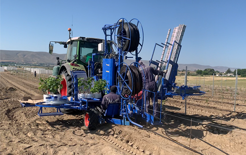 PLANTOLIVAR, uma marca nova, muitos anos de experiência