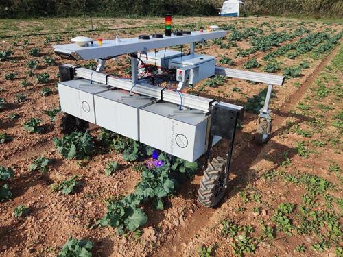 Robô agrícola Earth Rover recorre a sistema laser para eliminar infestantes