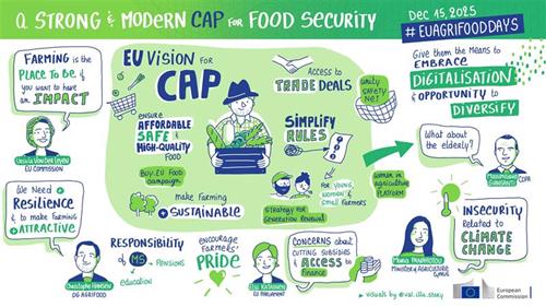 UE prevê crescimento da produtividade agrícola até 2035