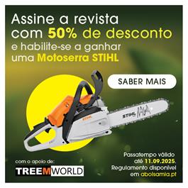 Publicidade