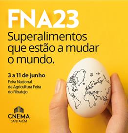 Publicidade