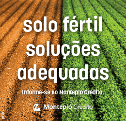 Publicidade