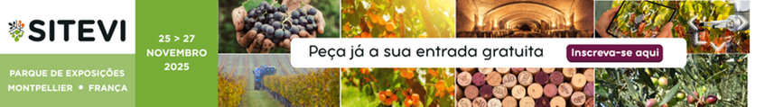 Publicidade