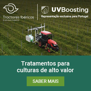 Publicidade